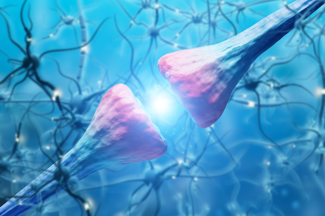 neuro-transmetteur