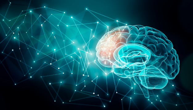 connexion cerveau