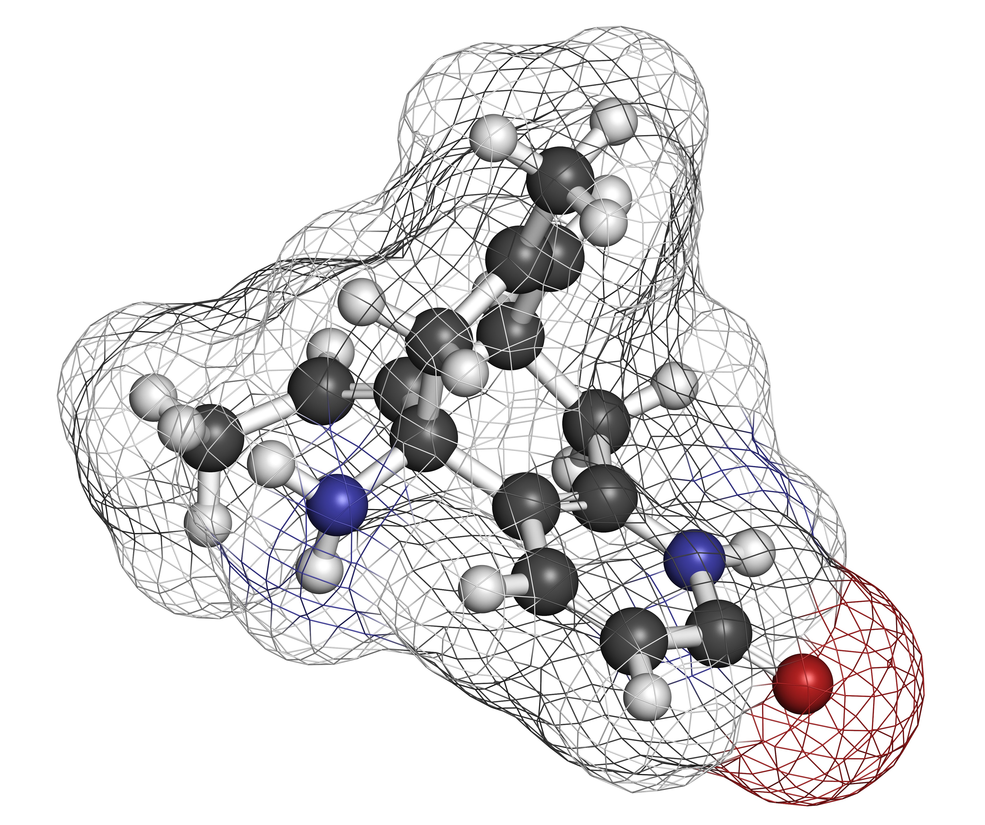 huperzine a